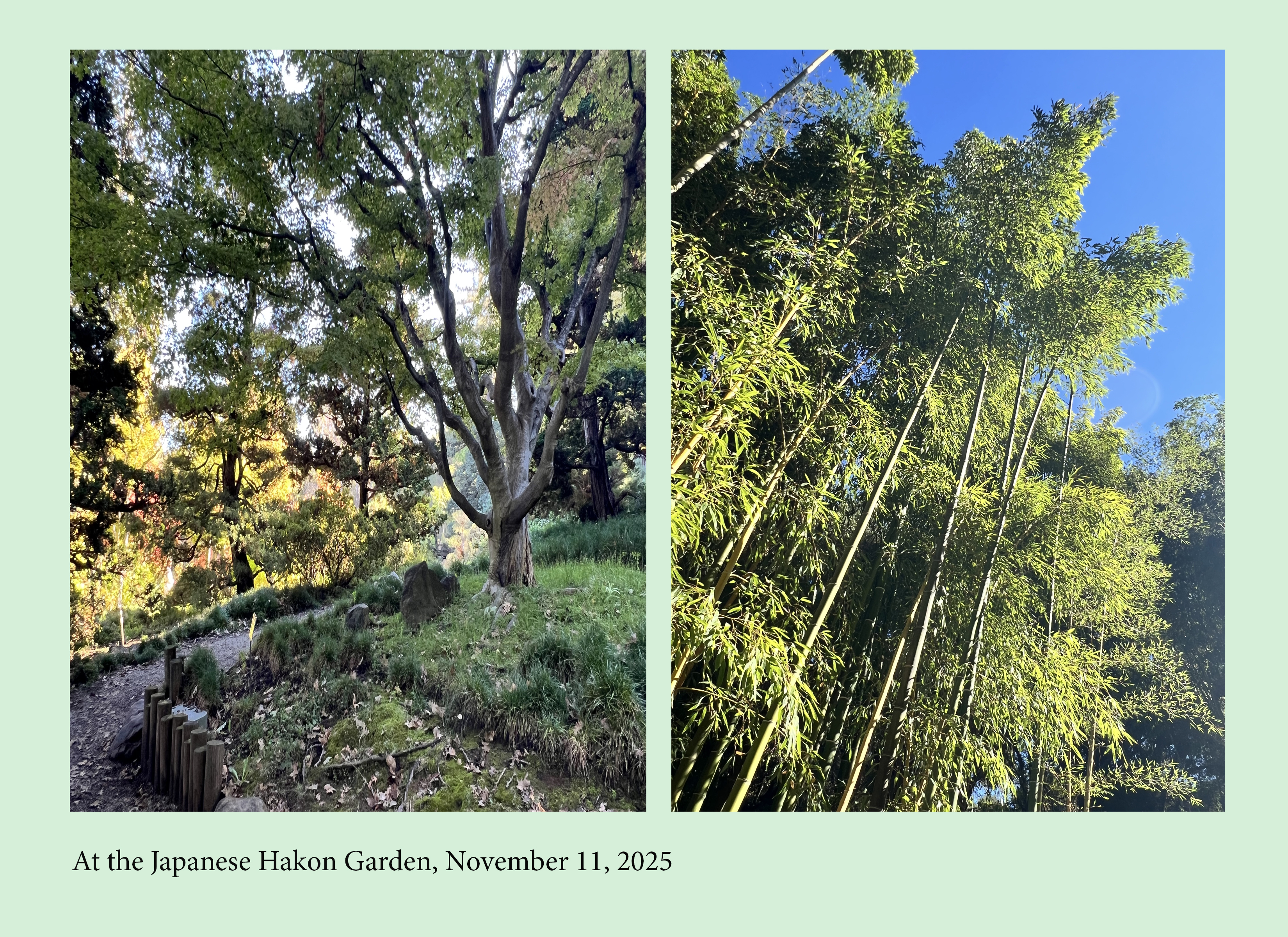 Hakon_04
